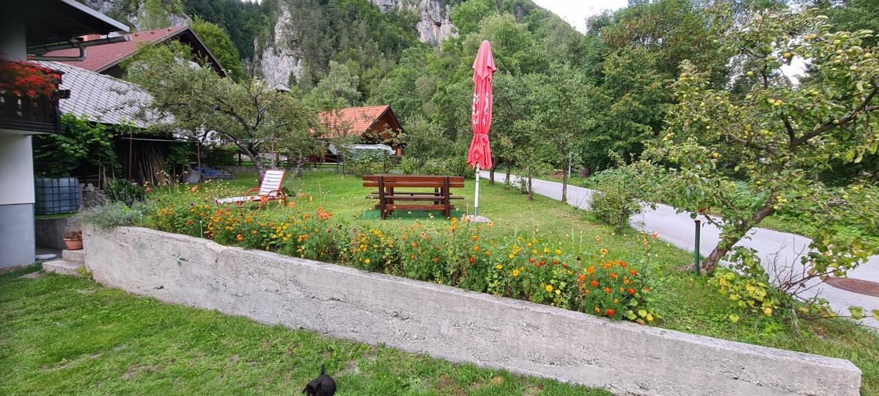 Apartma Vidic Gozd Martuljek Luaran gambar